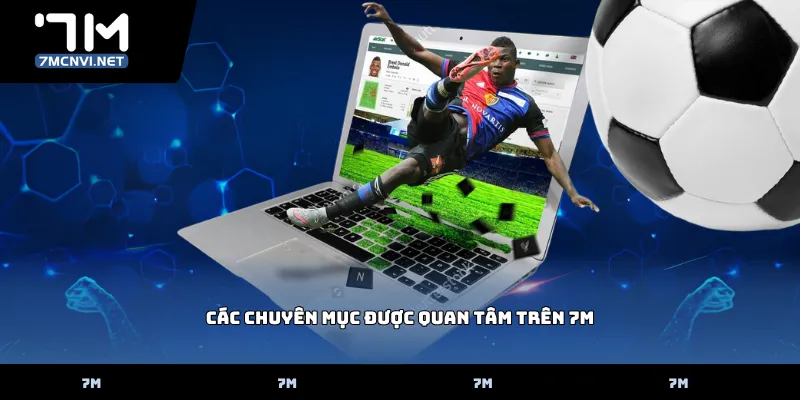 Các Chuyên Mục Được Quan Tâm Trên 7M